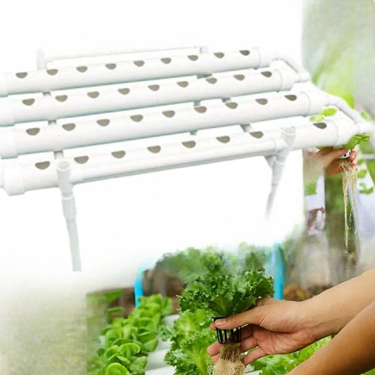 Hydroponik System Anlage Growkit mit Anleitung Pflanzen für Anfänger Indoor & Outdoor für Tomaten, Gurken, Kräuter, Zierpflanzen